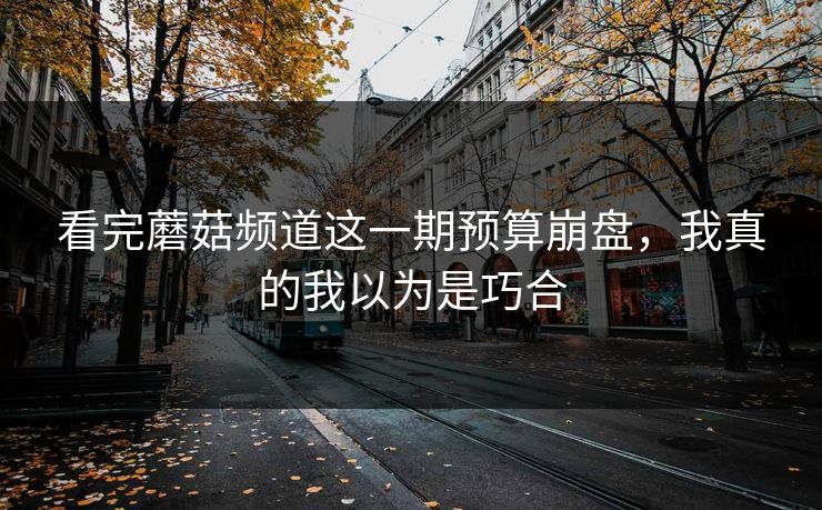 看完蘑菇频道这一期预算崩盘，我真的我以为是巧合