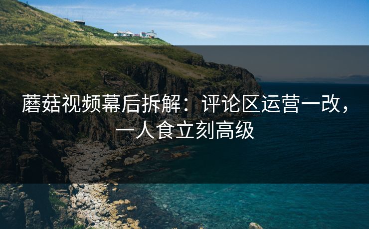 蘑菇视频幕后拆解：评论区运营一改，一人食立刻高级